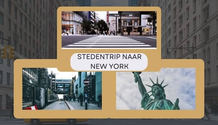 Stedentrip New York