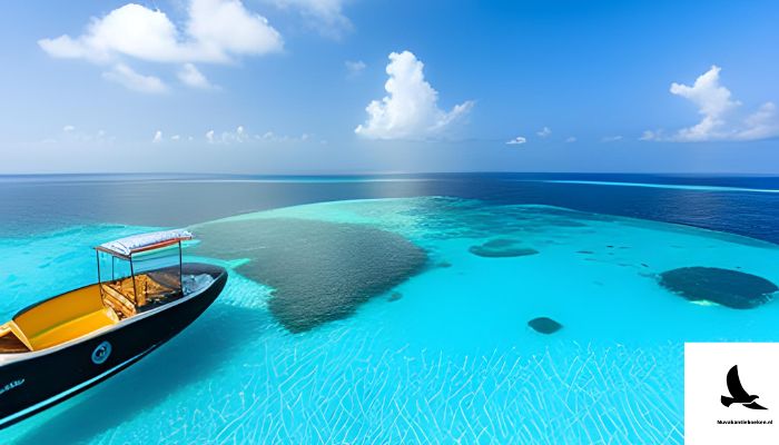 activiteiten op de Malediven